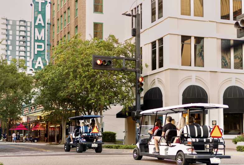 guided tampa tour in a deluxe street legal golf cart