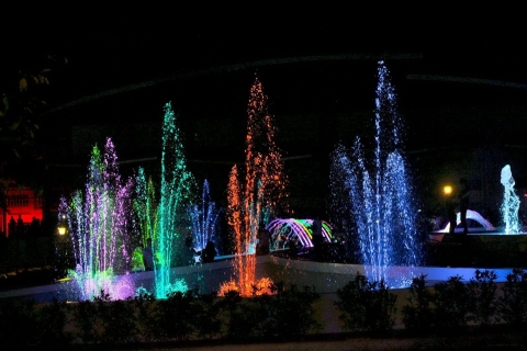 Puerto Princesa: Parque Popular de Balayong con cena y espectáculoVisita al Parque con Masaje y Spa