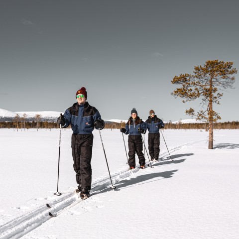 Visit Ylläs Guided Wilderness Ski Tour with Outdoor Lunch in Kittilä, Finland