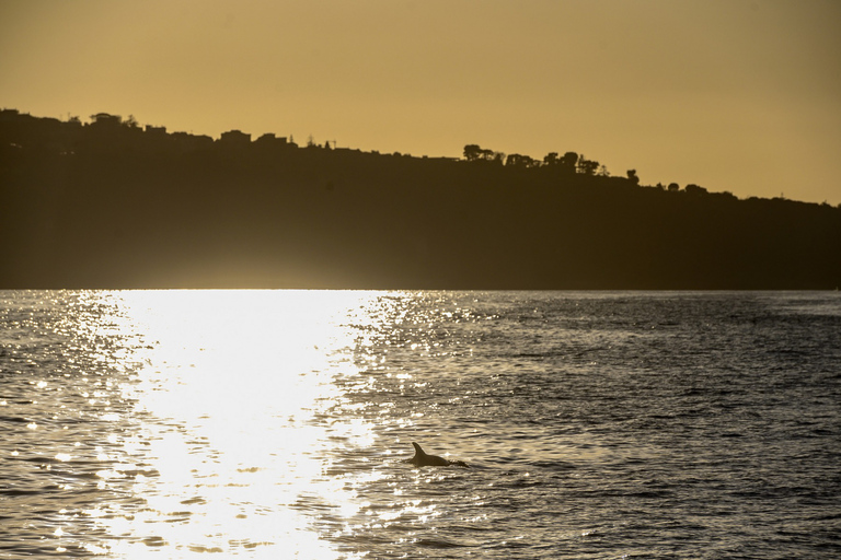 Desde Sorrento: Crucero por la Costa de Sorrento al atardecer