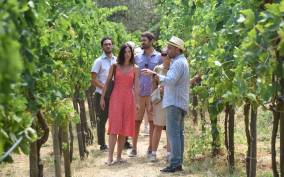 Sorrento: Farm Tour with Cheese Tasting & Pizza Making Class