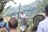 Sorrento, tour agricola con degustazione di formaggi e pizza - Housity