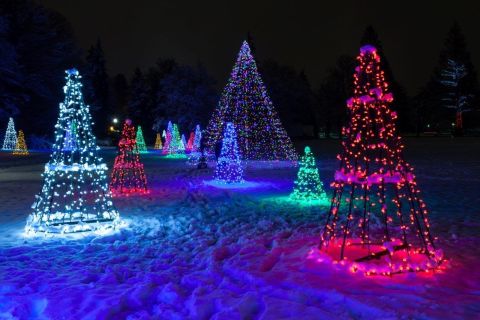 Niagara, Canada: Winterfestival van lichtwandeling
