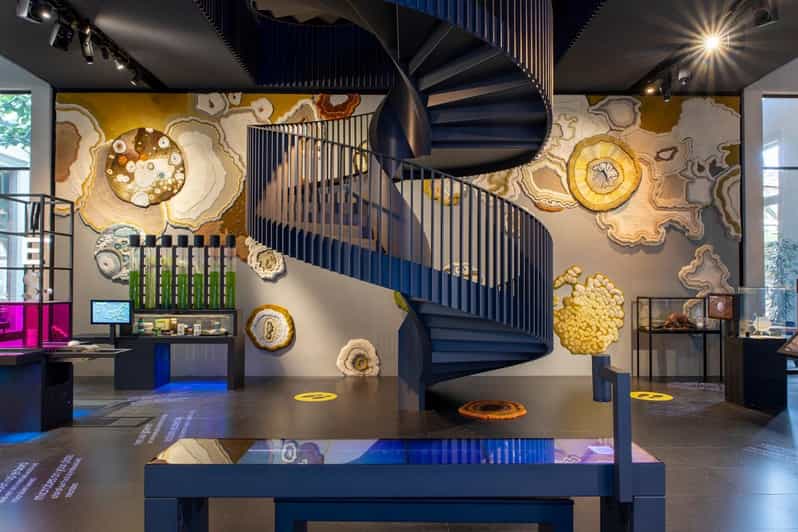 Amsterdam ARTIS Micropia Microbe Museum Entry Ticket GetYourGuide