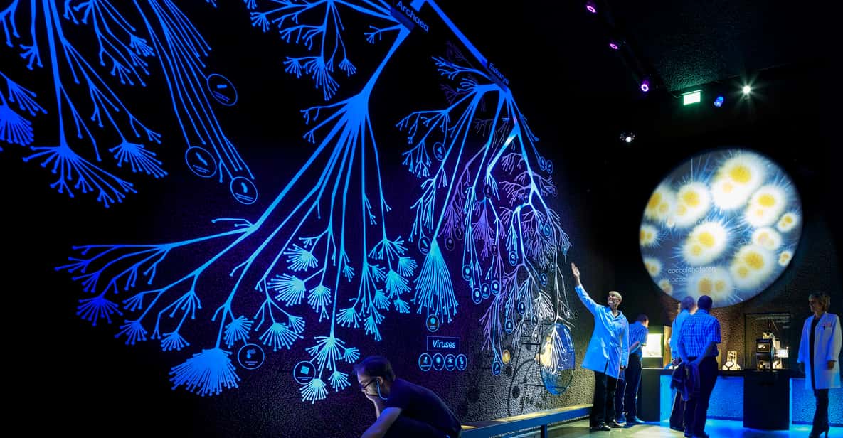 Amsterdam ARTIS Micropia Microbe Museum Entry Ticket GetYourGuide
