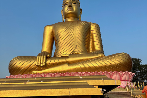 Bentota: River Safari, Big Buddha, and Tea Plantation Tour