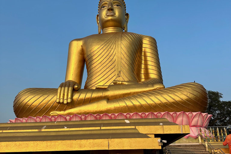 Bentota: River Safari, Big Buddha, and Tea Plantation Tour