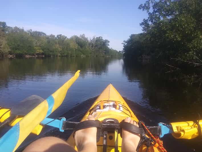Flamingo Everglades National Park Tour in Sailing Kayak GetYourGuide