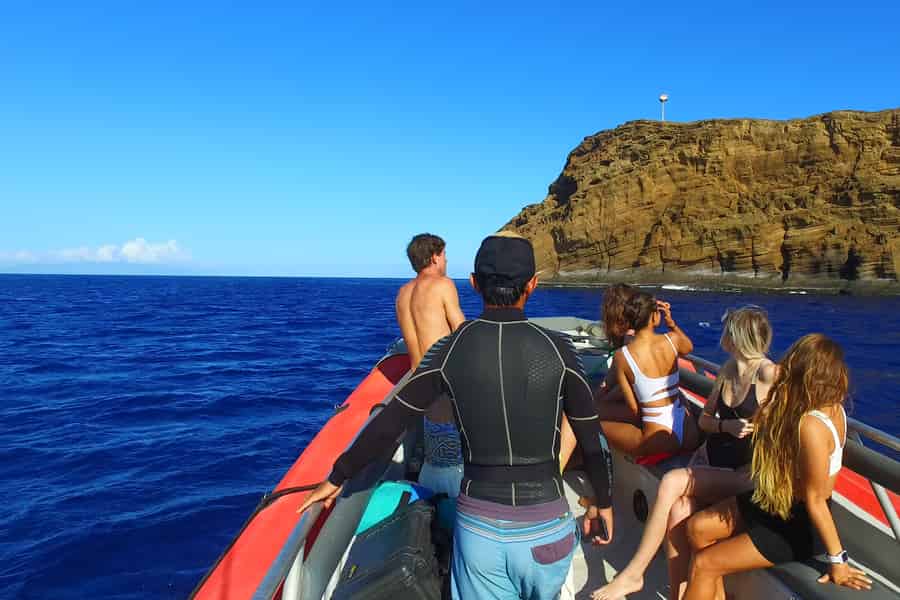Kihei: Molokini Krater Schnorchelausflug mit Getränken. Foto: GetYourGuide