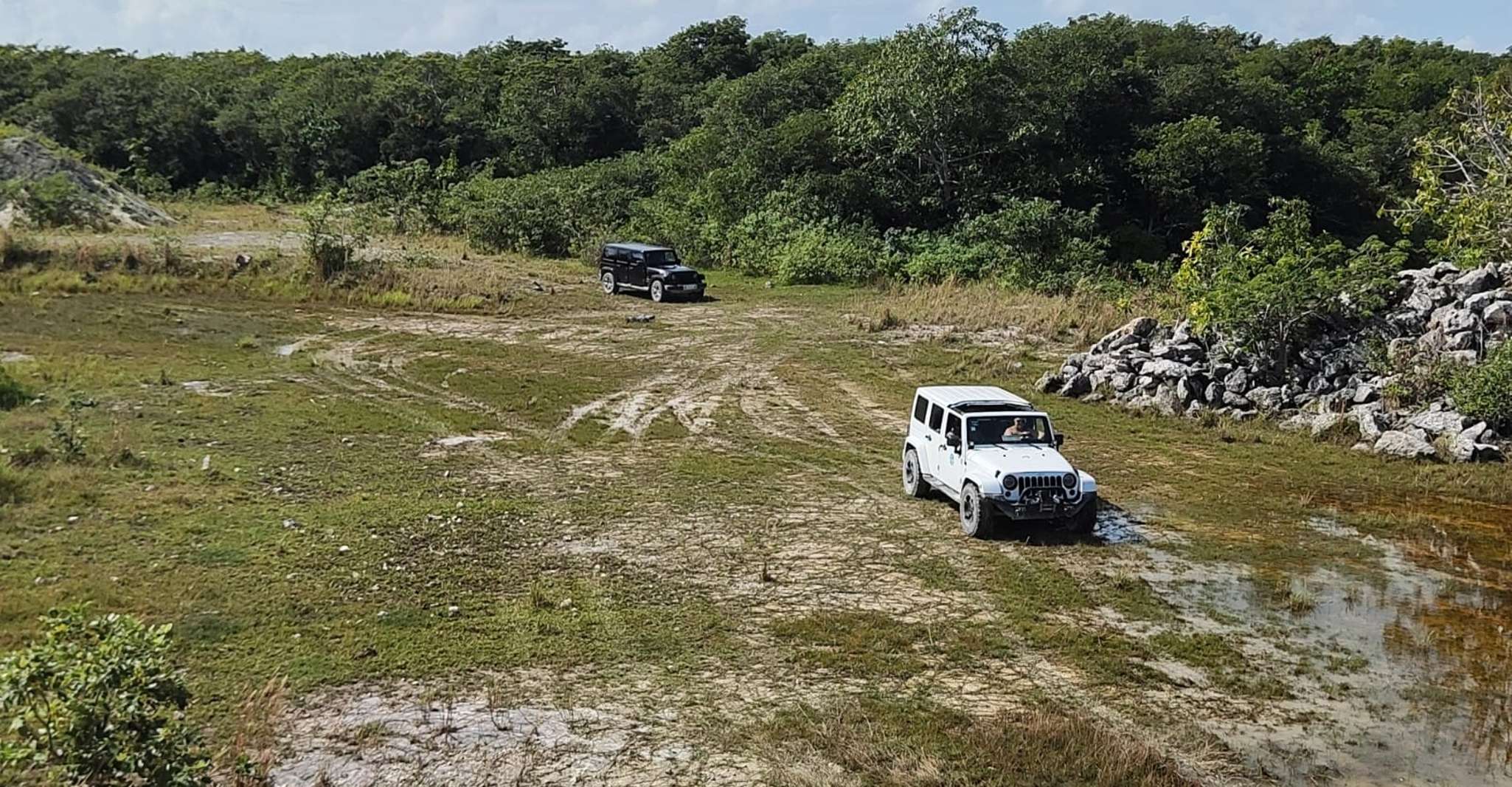 Cozumel, Private Caves and Ruins Jeep Tour with Picnic, Cozumel, Mexico