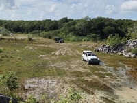 Cozumel, privé grotten en ruïnes Jeep Tour met picknick - Housity