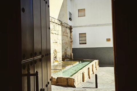 Jaén: Tour, Cathedral, Arch San Lorenzo and Jewish Quarter Jaén: Cathedral, Arch of San Lorenzo and Jewish Quarter.