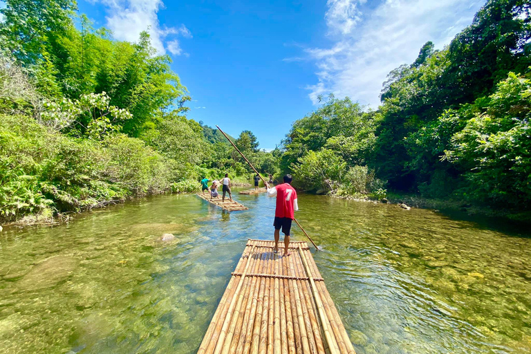 Van Phuket: privétour olifanten- en zeeschildpaddenbehoud