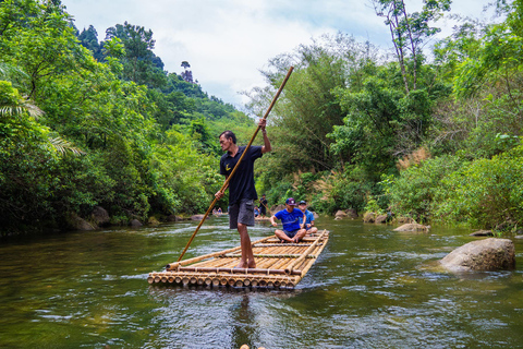 Khaolak: Elephant Sanctuary with Turtle Conservation Center