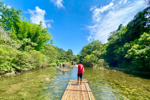 Khaolak: santuario de elefantes con centro de conservación de tortugas