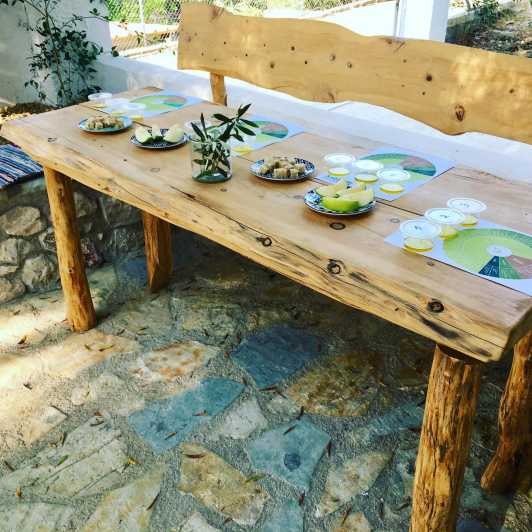 Olive Grove Tour & Olive Oil Tasting and Lunch in Messinia