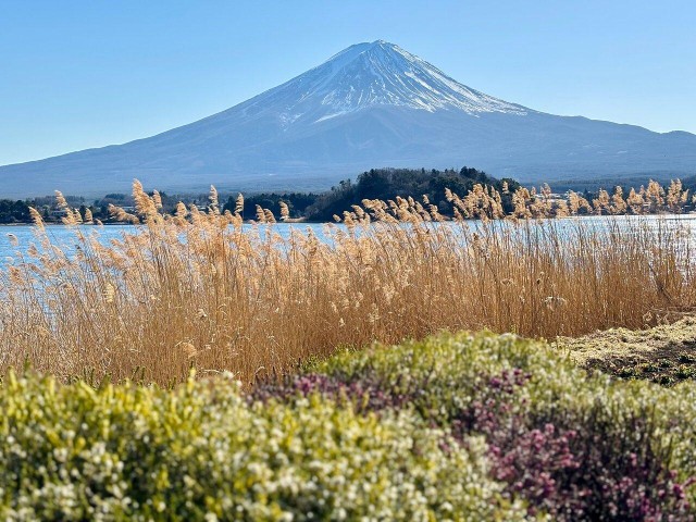 MOUNT FUJI FULL DAY CUSTOMIZED PRIVATE (ENGLISH GUIDED) TOUR