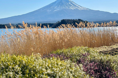 MOUNT FUJI FULL DAY CUSTOMIZED PRIVATE (ENGLISH GUIDED) TOUR