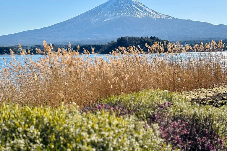 MOUNT FUJI FULL DAY CUSTOMIZED PRIVATE (ENGLISH GUIDED) TOUR