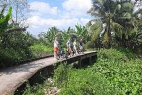 From Ho Chi Minh: Mekong Delta Day Trip with Biking