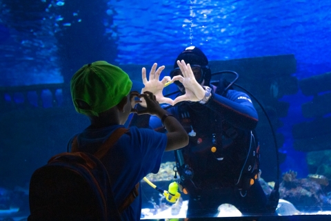 Aquarium Tour von der Seite