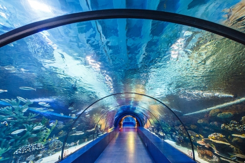 Aquarium Tour von der Seite