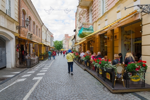 El majestuoso y real Vilnius Walking Tour