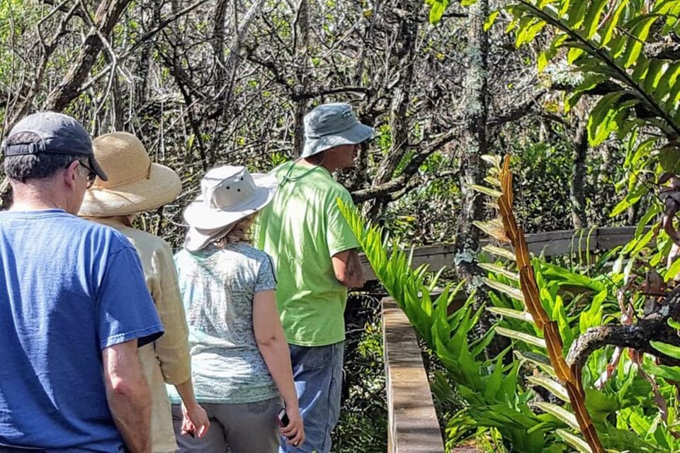 Local Attractions  Exploring Naples, 10,000 Islands and Everglades