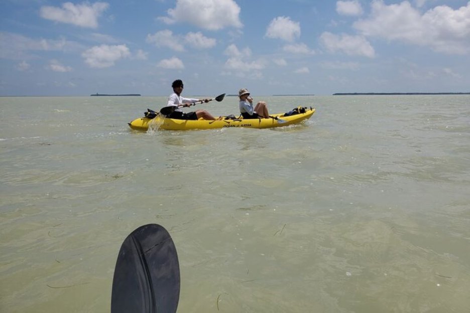 Miami: Excursión de un día en Kayak y Senderismo por el Parque Nacional de los Everglades