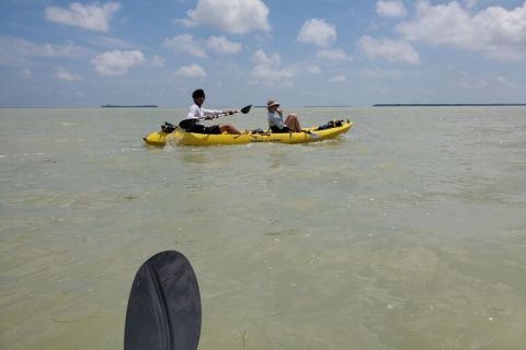 Miami: gita di un giorno in kayak e trekking nel parco nazionale delle Everglades