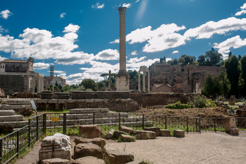 Roma: Tour del Colosseo, del Foro Romano e del Palatino con ingresso prioritarioTour di gruppo in inglese con ingresso ai gladiatori al piano dell&#039;Arena