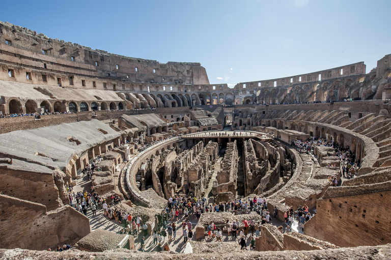 Rome: Colosseum Arena, Roman Forum, and Palatine Hill Tour Group Tour in French