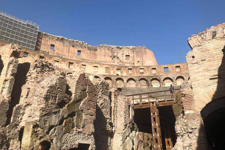 Rome: Priority Access Colosseum, Roman Forum &amp; Palatine TourPrivate Tour in German