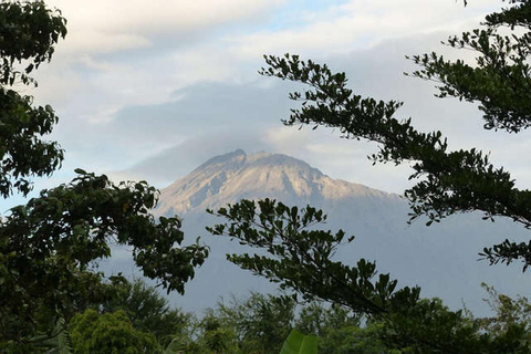 Tanzania: 3-Day Mount Meru Climbing Expeditions Private Tour