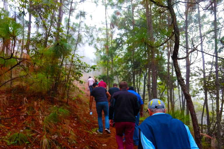 Valle de Bravo: Aventura de senderismo por el bosque