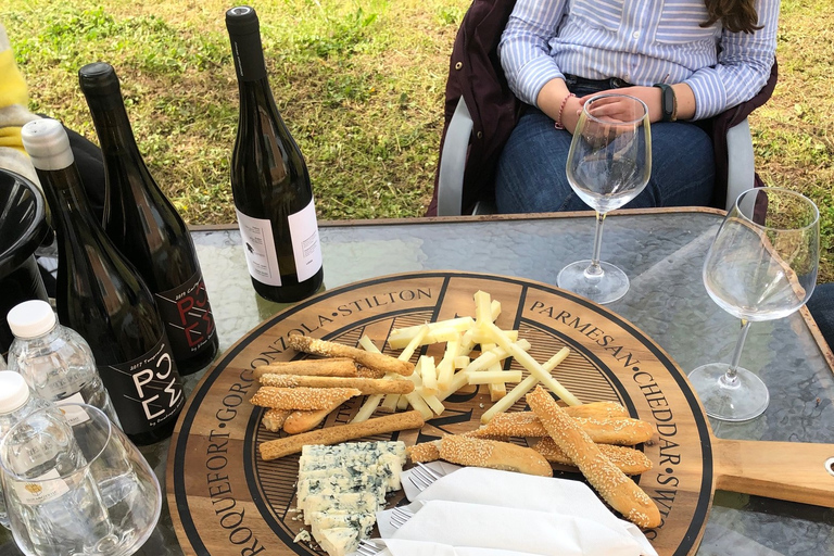 Wijntour en proeverij in een wijnmakerij met lunch, Messinia, Griekenland