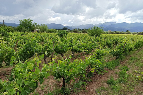 Weintour & Verkostung in einem Weingut mit Mittagessen, Messinia, Griechenland