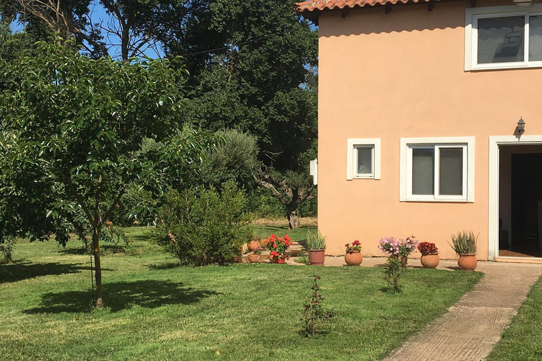 Visite et dégustation de vins dans un vignoble avec déjeuner, Messinia, Grèce