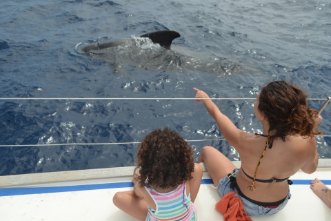 Au départ de Los Gigantes : Croisière d'observation des baleines en voilierVoyage partagé de 3 heures