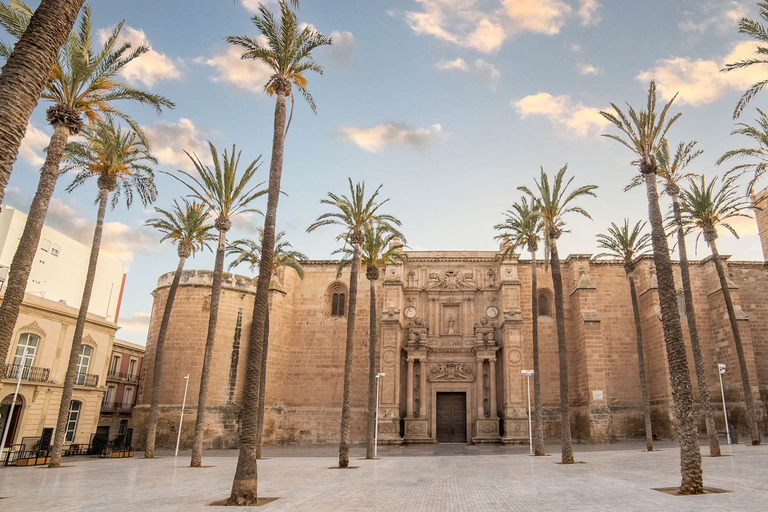 Almería: Cathedral Entry TicketAlmería: Cathedral of the Incarnation Entry Ticket