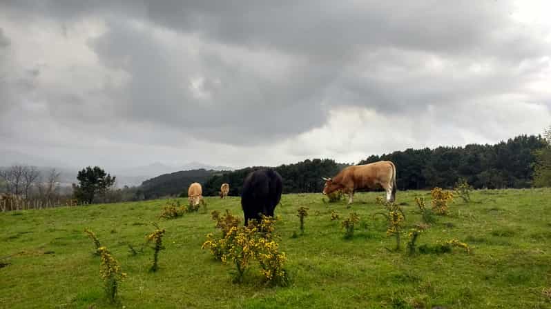 Colagem de mídia