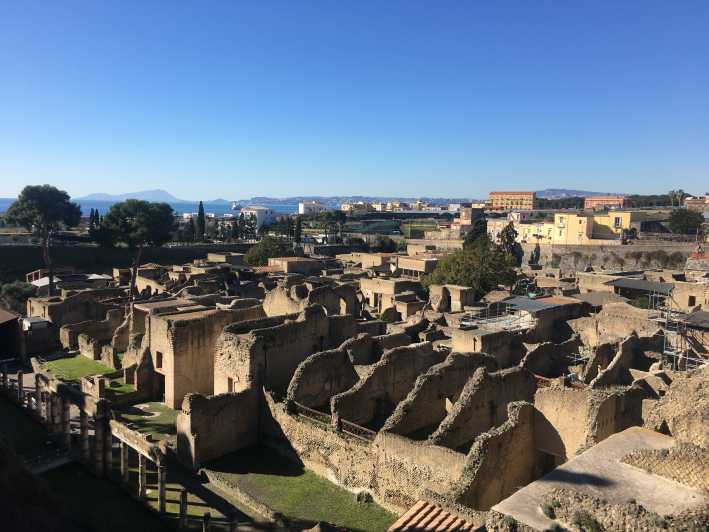 Pompeii: Pompeii & Herculaneum Private Guided Tour