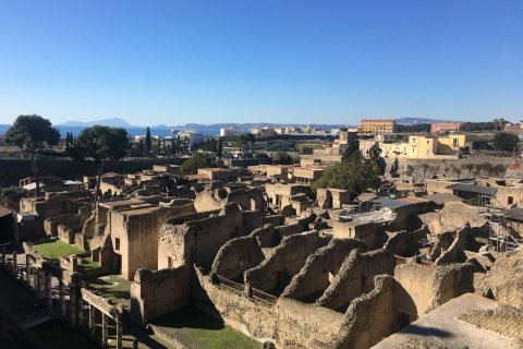 Pompeje i Herkulanum: prywatna wycieczka z archeologiem
