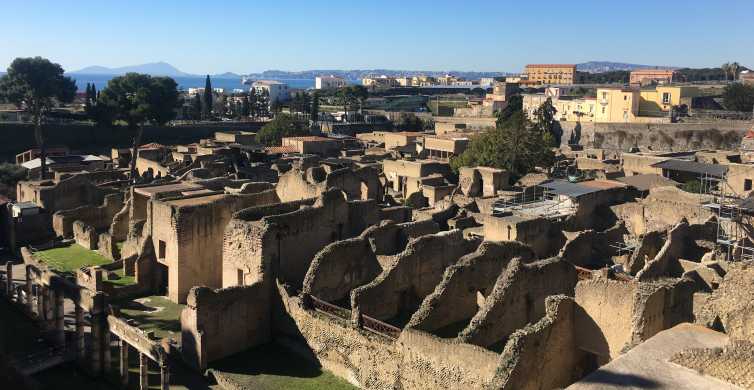 Pompeii and Herculaneum Private Tour with An Archaeologist GetYourGuide