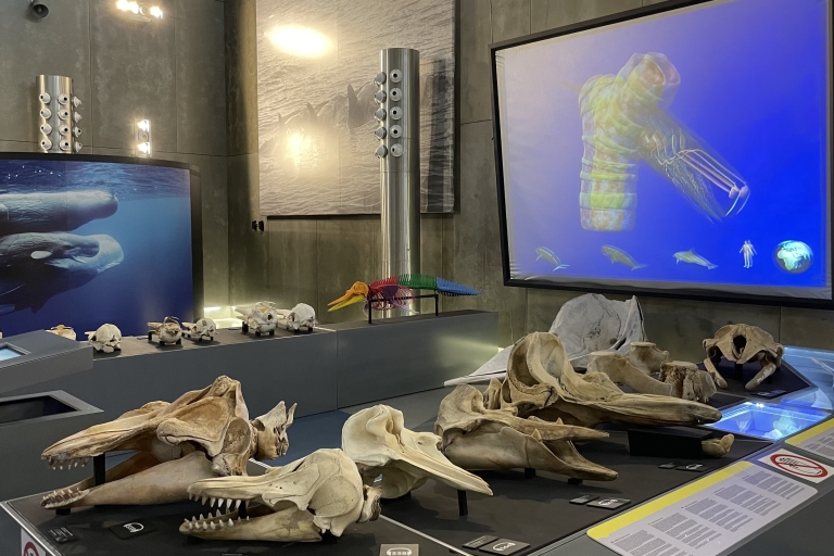 Caniçal: toegangsbewijs Madeira Walvismuseum en privérondleidingOphalen Noord/Zuidoost
