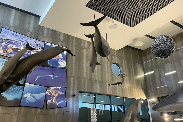 Caniçal: toegangsbewijs Madeira Walvismuseum en privérondleidingOphalen in het zuidwesten van Madeira