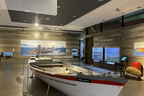Caniçal: Entrada al Museo de la Ballena de Madeira y visita privadaRecogida en el puerto de Funchal