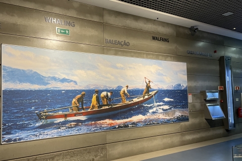 Caniçal : Billet d'entrée au musée de la baleine de Madère et visite privéeRamassage dans le sud-ouest de Madère