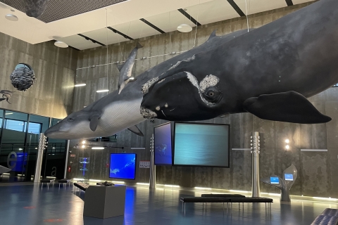 Caniçal: Eintrittskarte für das Walmuseum von Madeira und private TourSüdwest-Madeira abholen