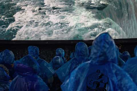 Toronto: Small-Group Niagara Falls Winter Tour & Attractions